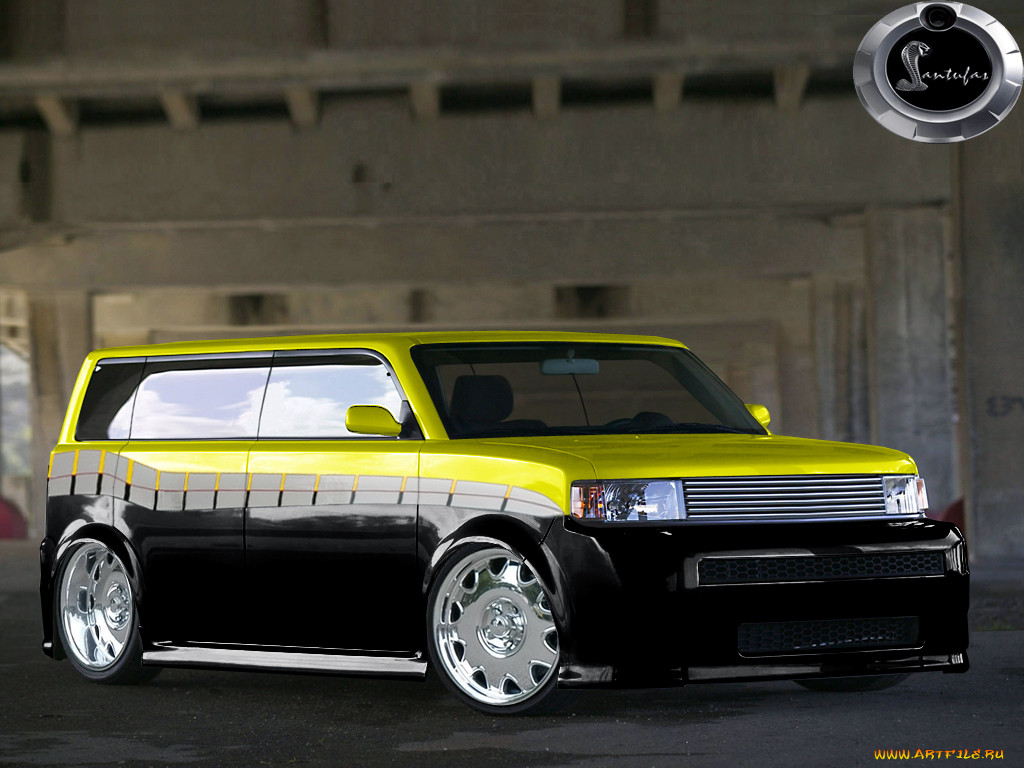 , scion